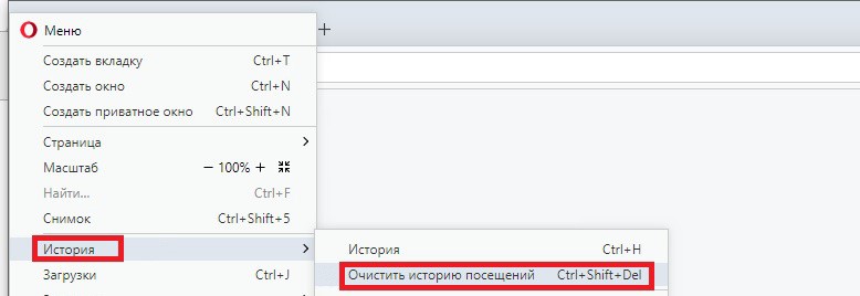 Opera очистить историю посещений