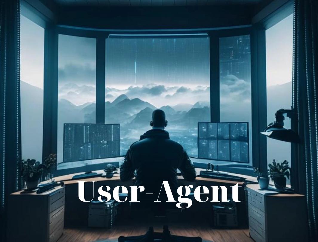 User-Agent: что это и как его сменить в браузере