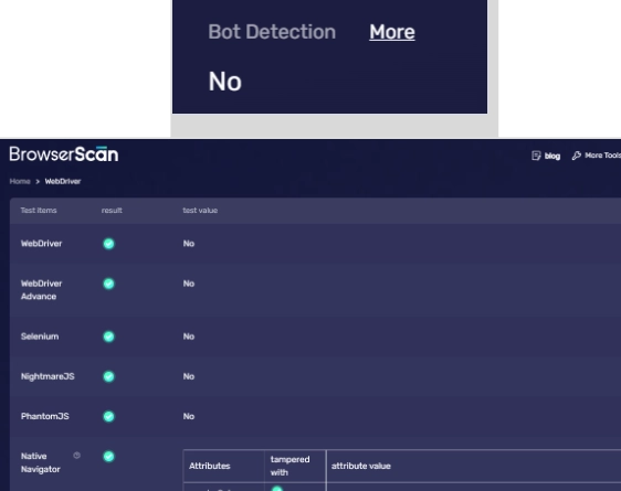 BrowserScan проверяем наличие у текущего браузера характеристик робота