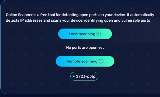 BrowserScan сканирование портов
